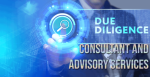 Due Diligence Advisory Services in Delhi